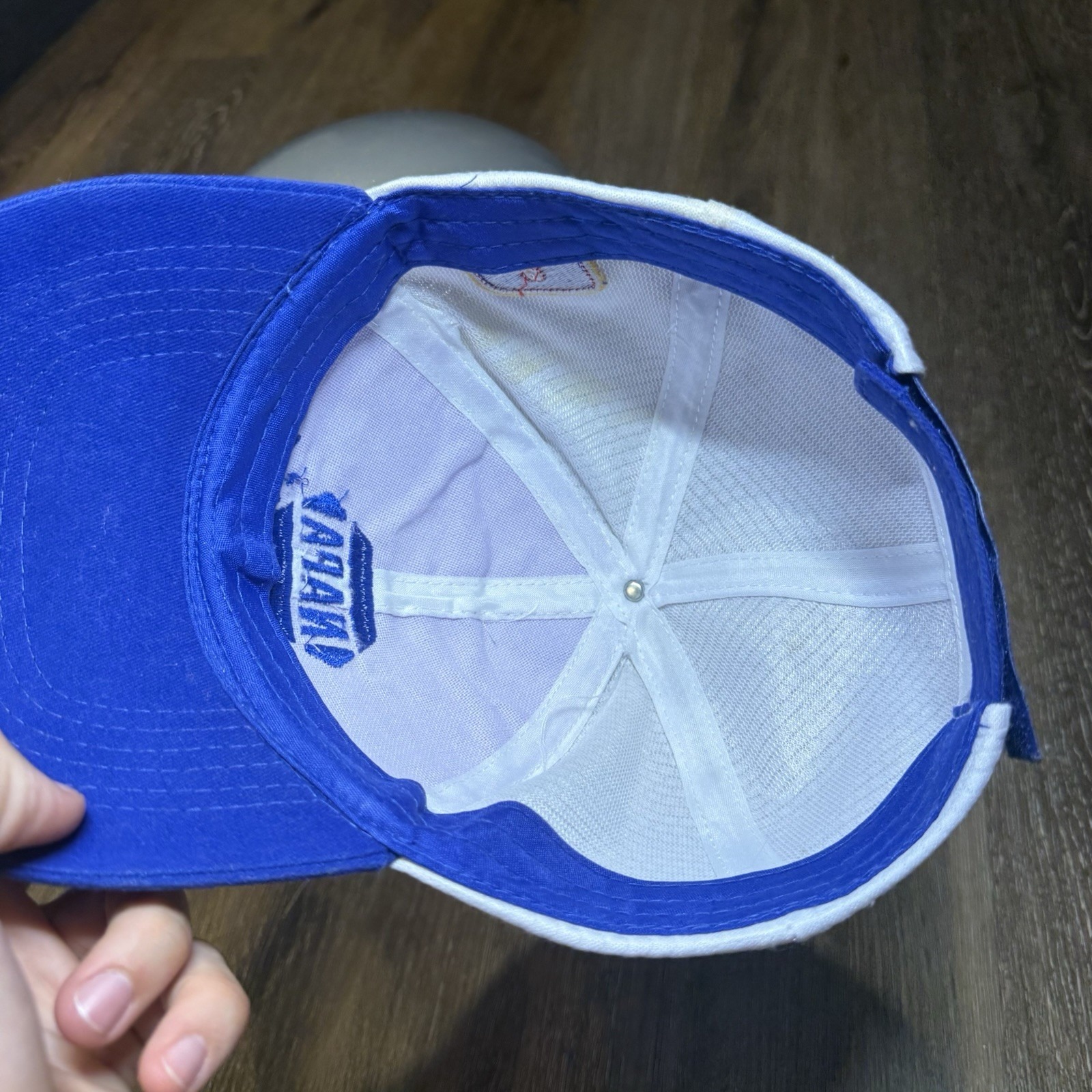 Vintage Napa Chase Elliot Hat Blue White Strap Embroidered Racing Nascar — image 6 of 7